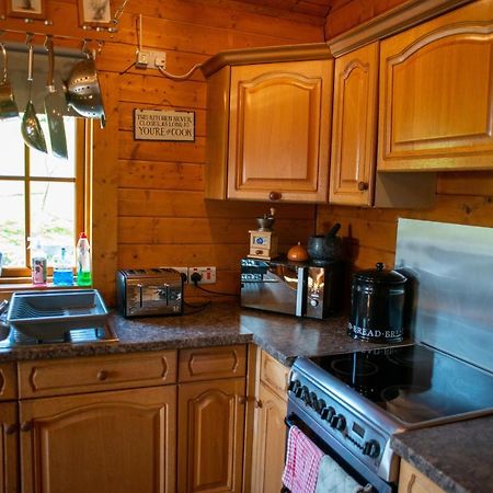 George Cabin - Log Cabin In Wales With Hot Tub Newtown  Eksteriør bilde