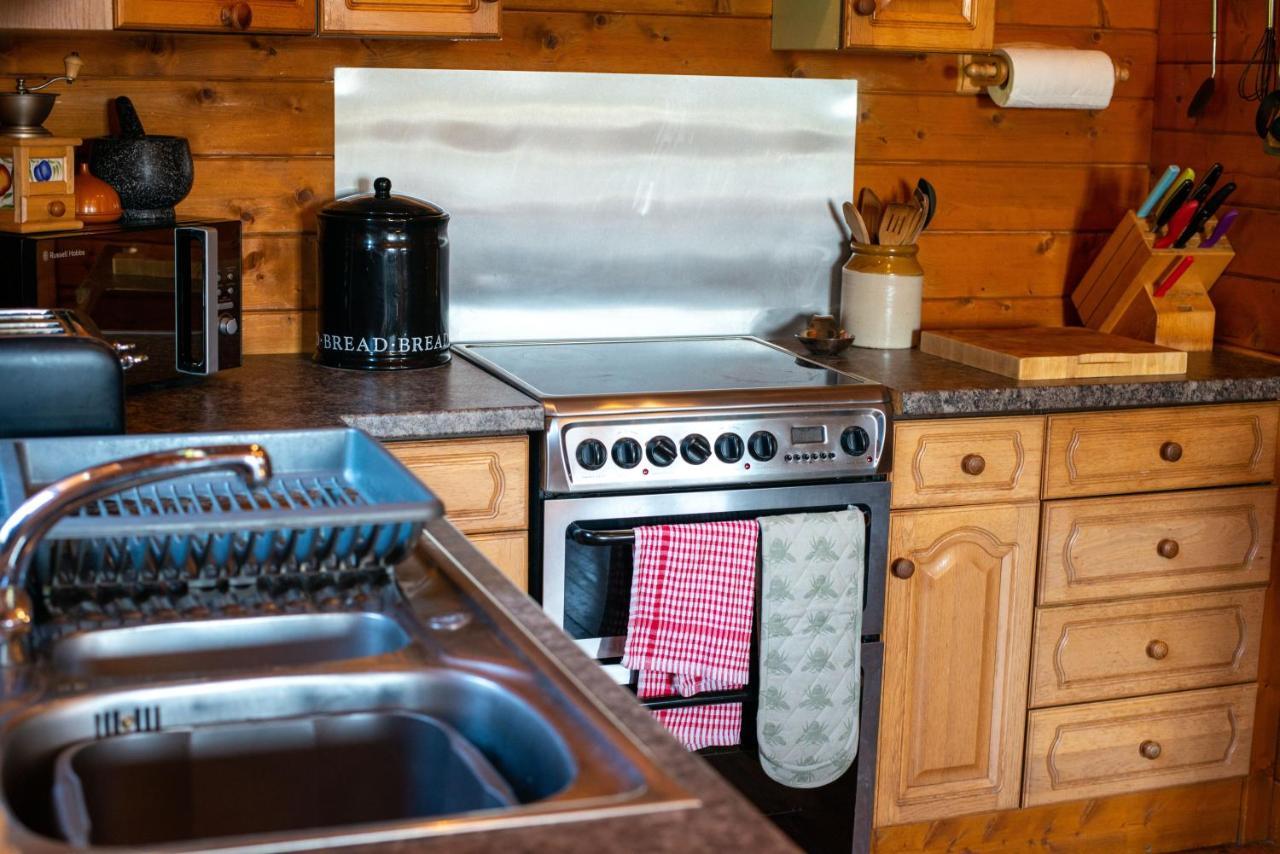 George Cabin - Log Cabin In Wales With Hot Tub Newtown  Eksteriør bilde