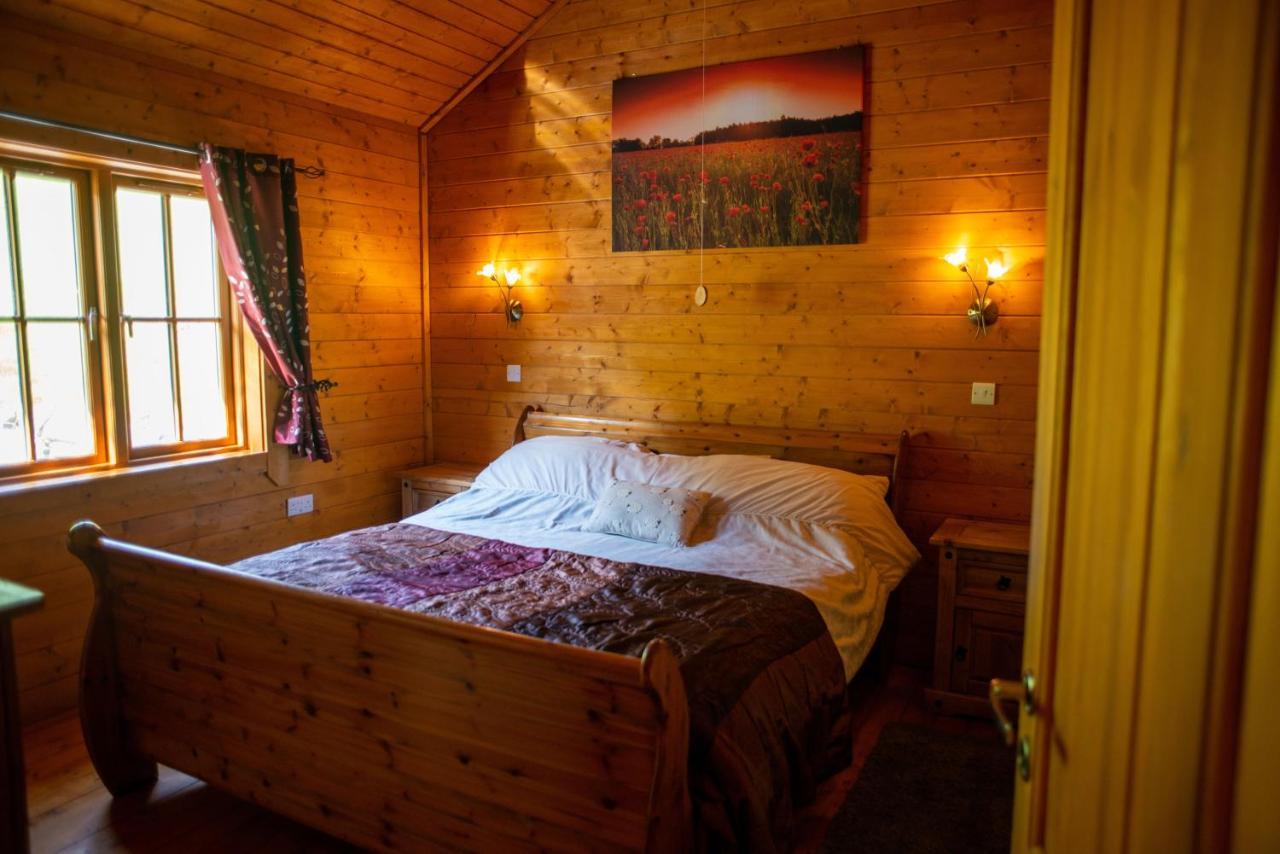 George Cabin - Log Cabin In Wales With Hot Tub Newtown  Eksteriør bilde