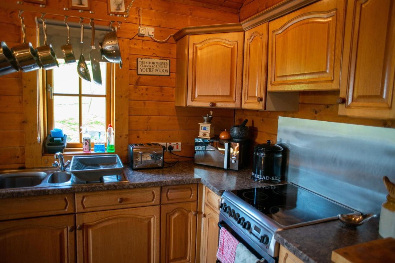 George Cabin - Log Cabin In Wales With Hot Tub Newtown  Eksteriør bilde